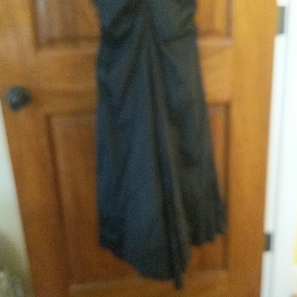 Cache Floor Length Fitted Gown, Size 4 - image 4